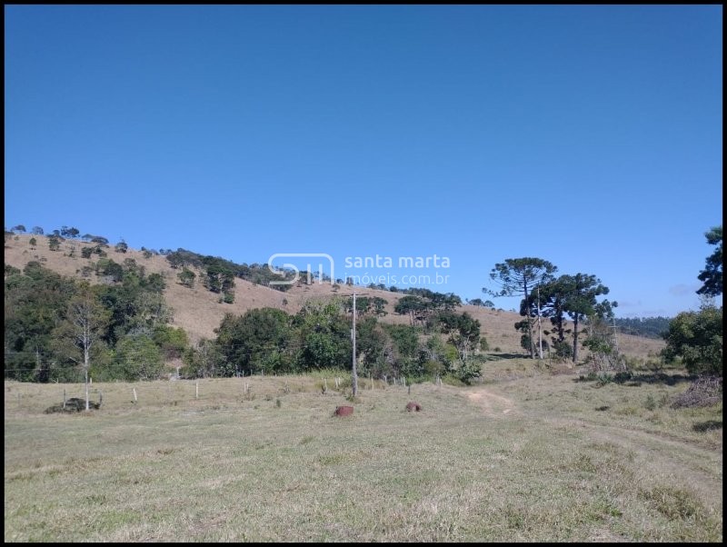 Fazenda à venda com 3 quartos, 24m² - Foto 53