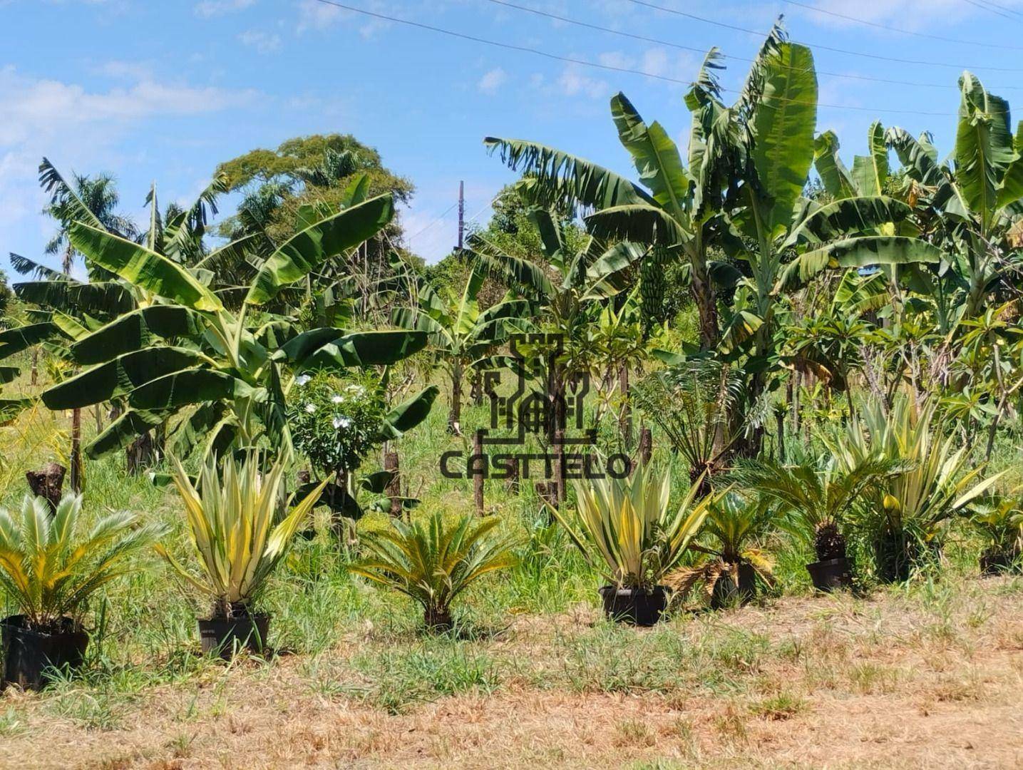 Chácara à venda com 3 quartos, 5065M2 - Foto 31