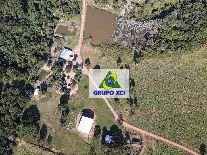 Fazenda-Sítio-Chácara, 1800 hectares - Foto 1