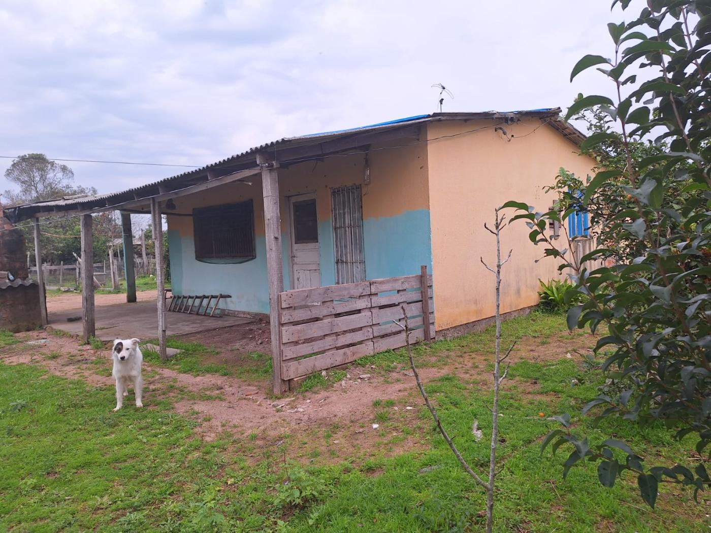 Chácara à venda com 2 quartos, 6790m² - Foto 4