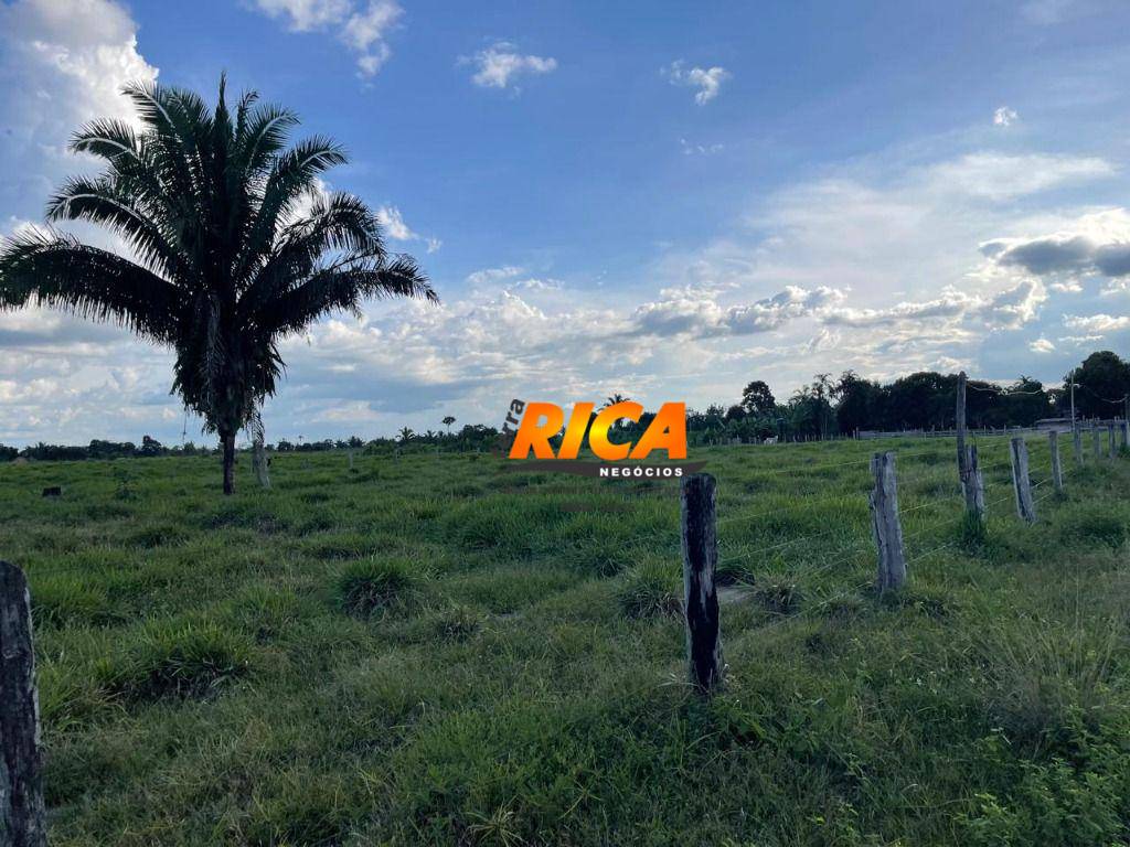 Sítio, 40 hectares - Foto 22