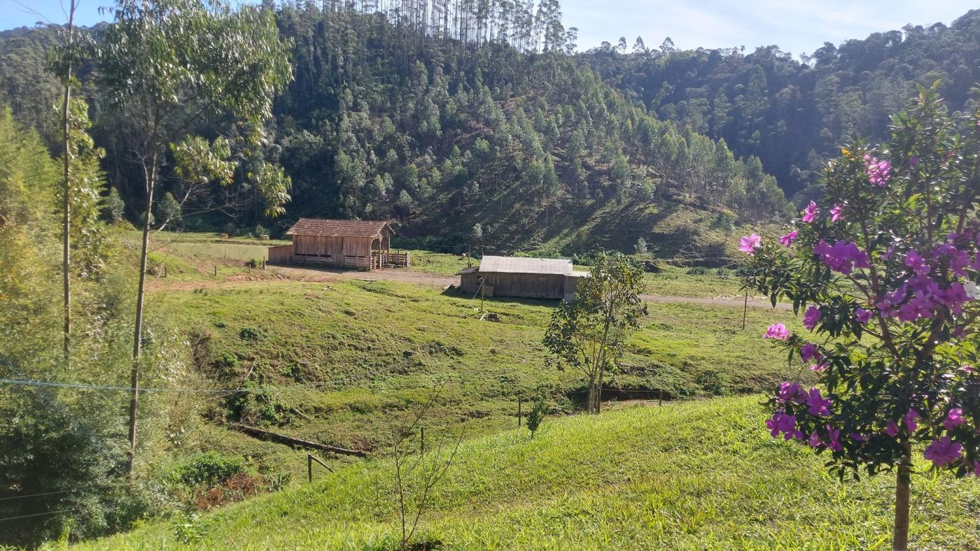 Fazenda à venda com 4 quartos, 4140000m² - Foto 13