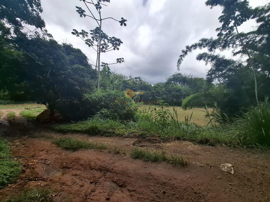 Sítio à venda com 5 quartos, 96800m² - Foto 54