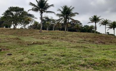 Sítio à venda com 3 quartos, 87000m² - Foto 13
