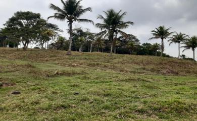 Fazenda à venda com 3 quartos, 87000m² - Foto 13