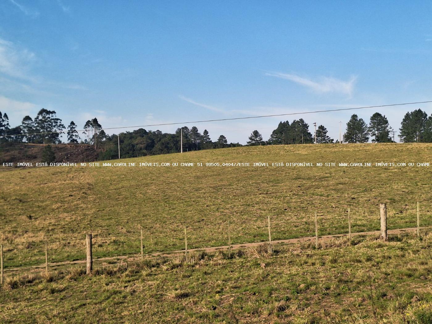 Sítio à venda, 80000m² - Foto 46
