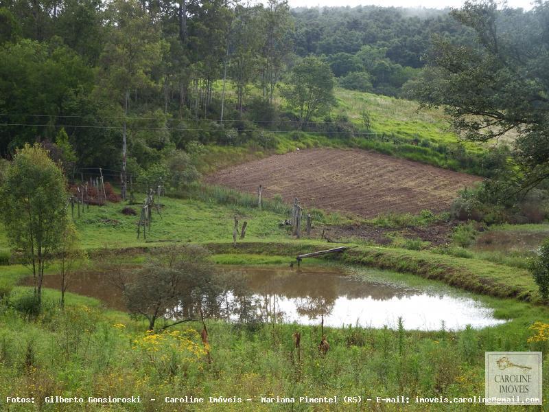 Fazenda à venda com 3 quartos, 60000m² - Foto 6