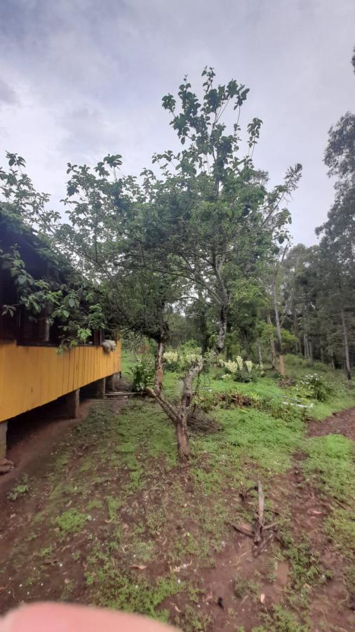 Fazenda à venda, 21m² - Foto 4