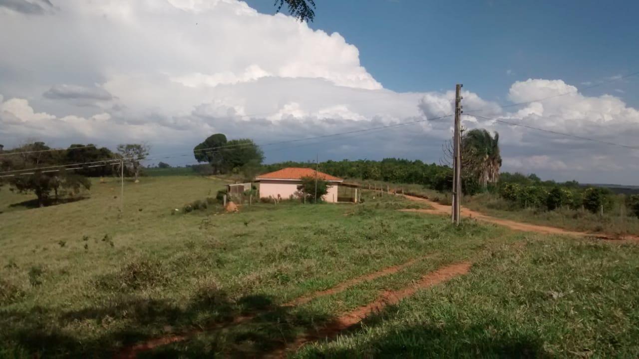 Fazenda à venda, 24m² - Foto 3