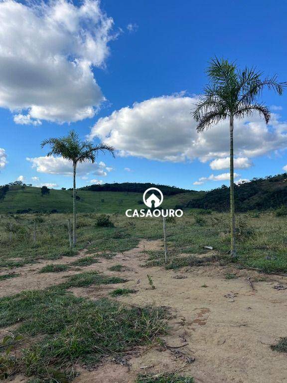 Terreno à venda, 30000M2 - Foto 16