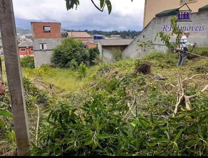 Terreno à venda, 250m² - Foto 7