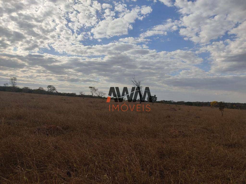 Fazenda-Sítio-Chácara, 213 hectares - Foto 13