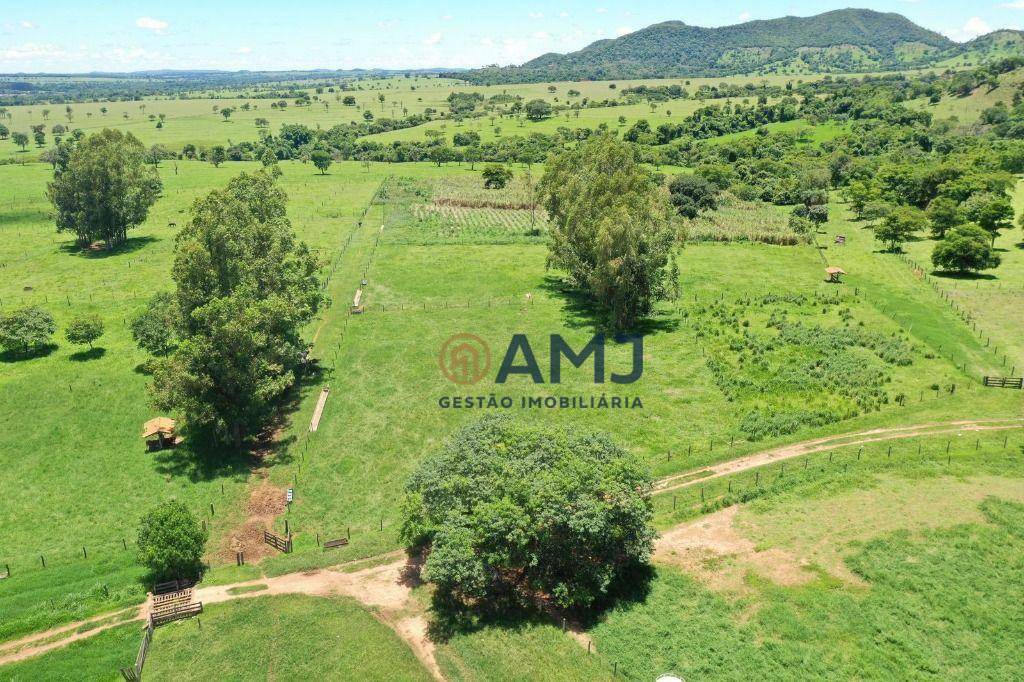 Fazenda à venda com 6 quartos, 500m² - Foto 8