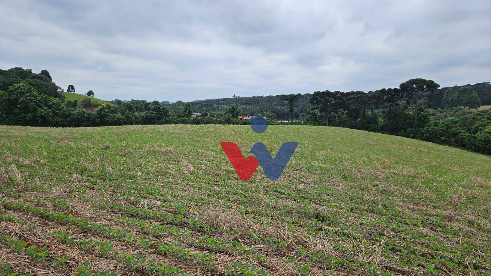 Fazenda à venda com 3 quartos, 1694000M2 - Foto 41