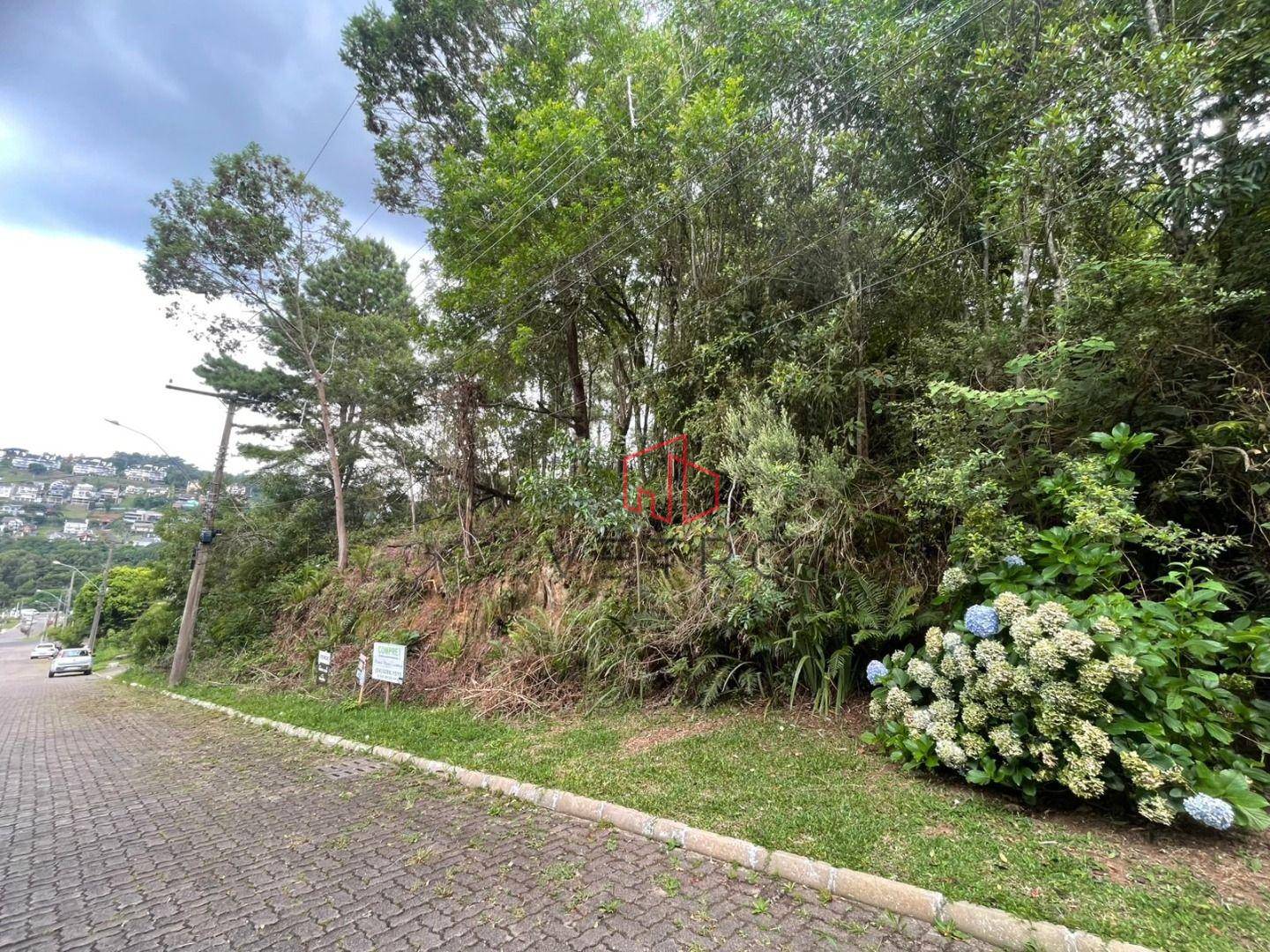 Loteamento e Condomínio, 600 m² - Foto 4