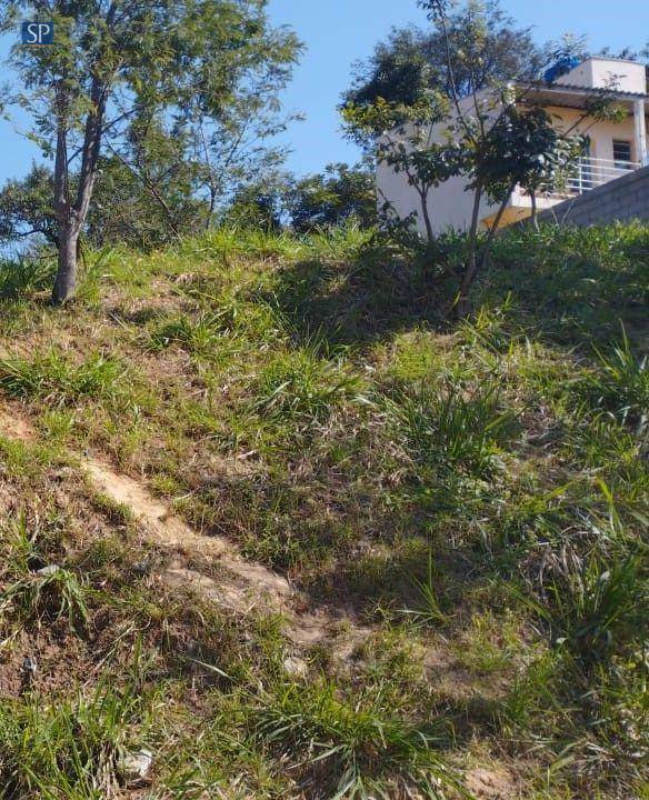 Terreno, 250 m² - Foto 3