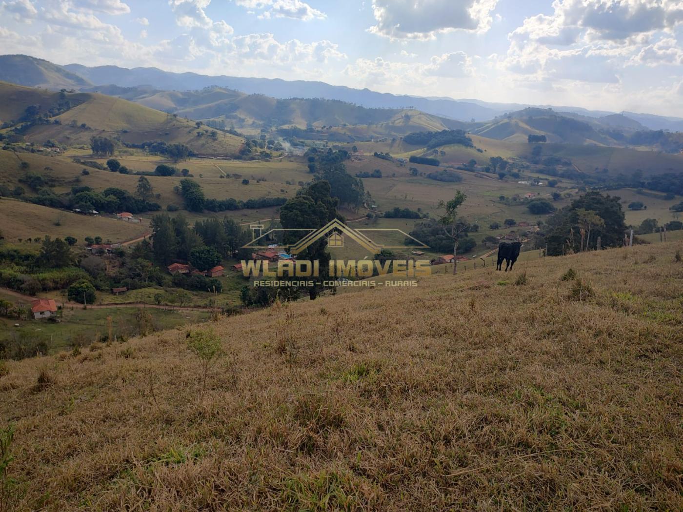 Terreno à venda, 20000m² - Foto 1