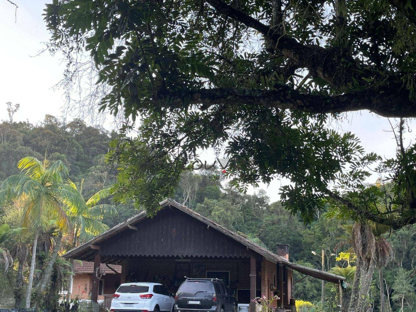 Sítio à venda com 3 quartos, 14000M2 - Foto 7
