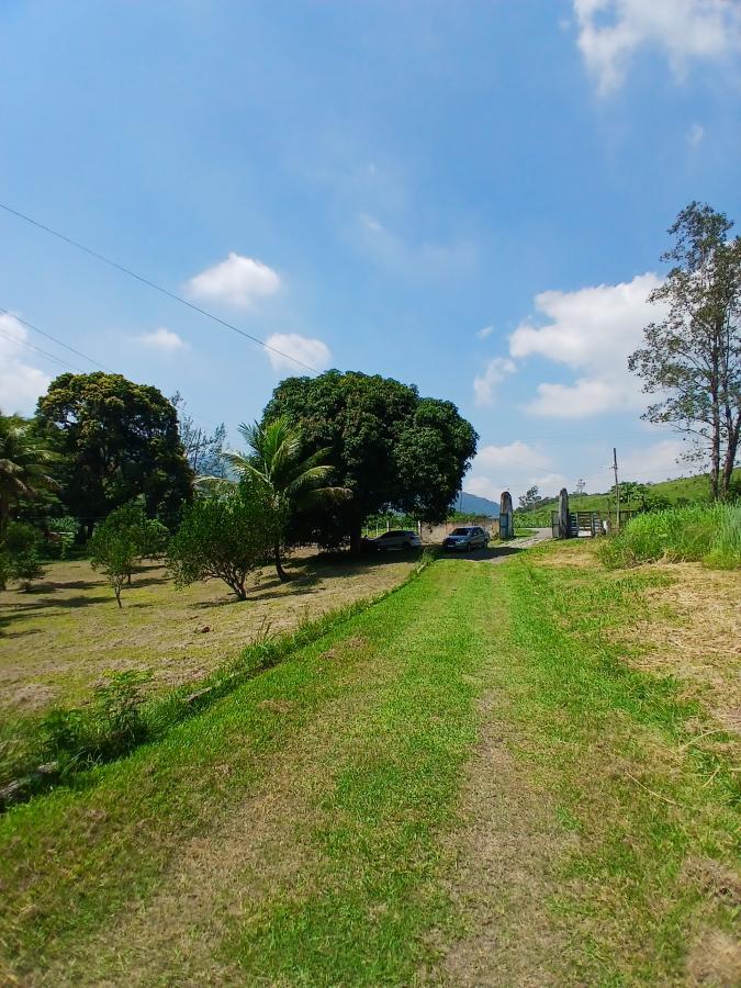 Fazenda à venda com 3 quartos, 26000m² - Foto 17