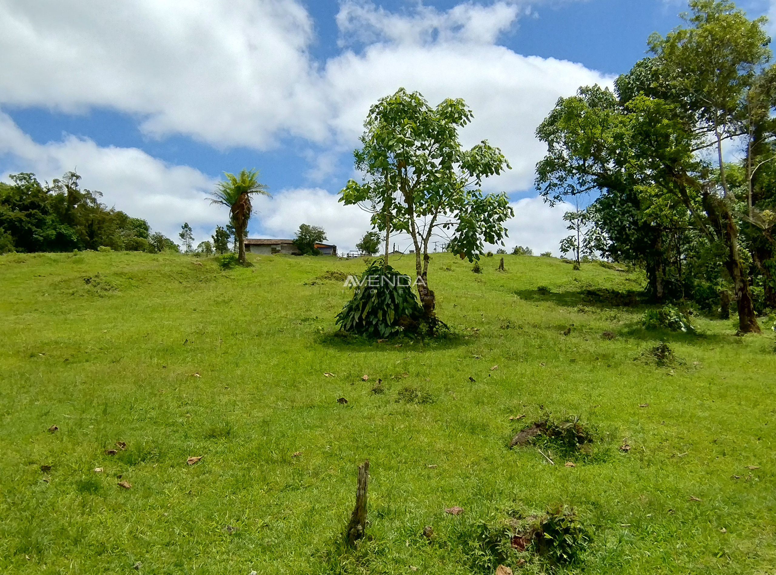 Fazenda-Sítio-Chácara, 21 hectares - Foto 4