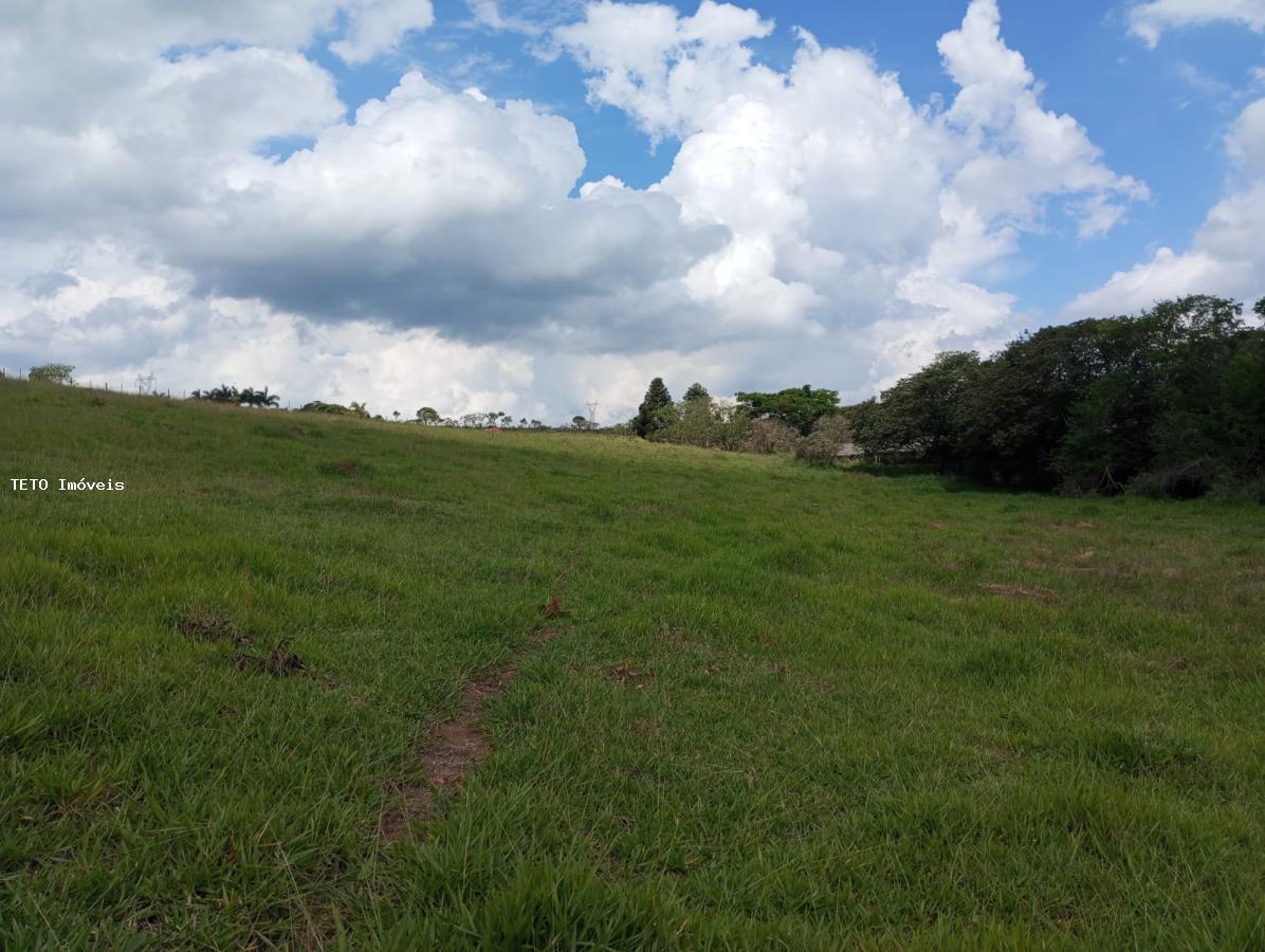 Fazenda à venda com 2 quartos, 25000m² - Foto 19