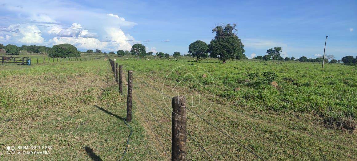 Fazenda à venda, 7800000M2 - Foto 4