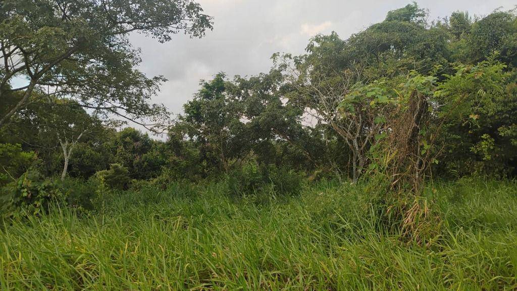 Terreno, 574 m² - Foto 8