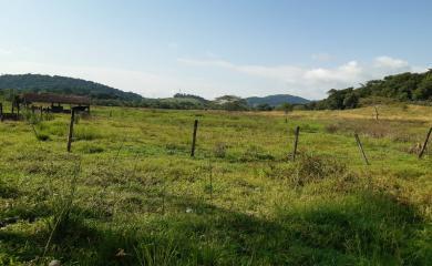 Fazenda à venda com 3 quartos, 110000m² - Foto 24