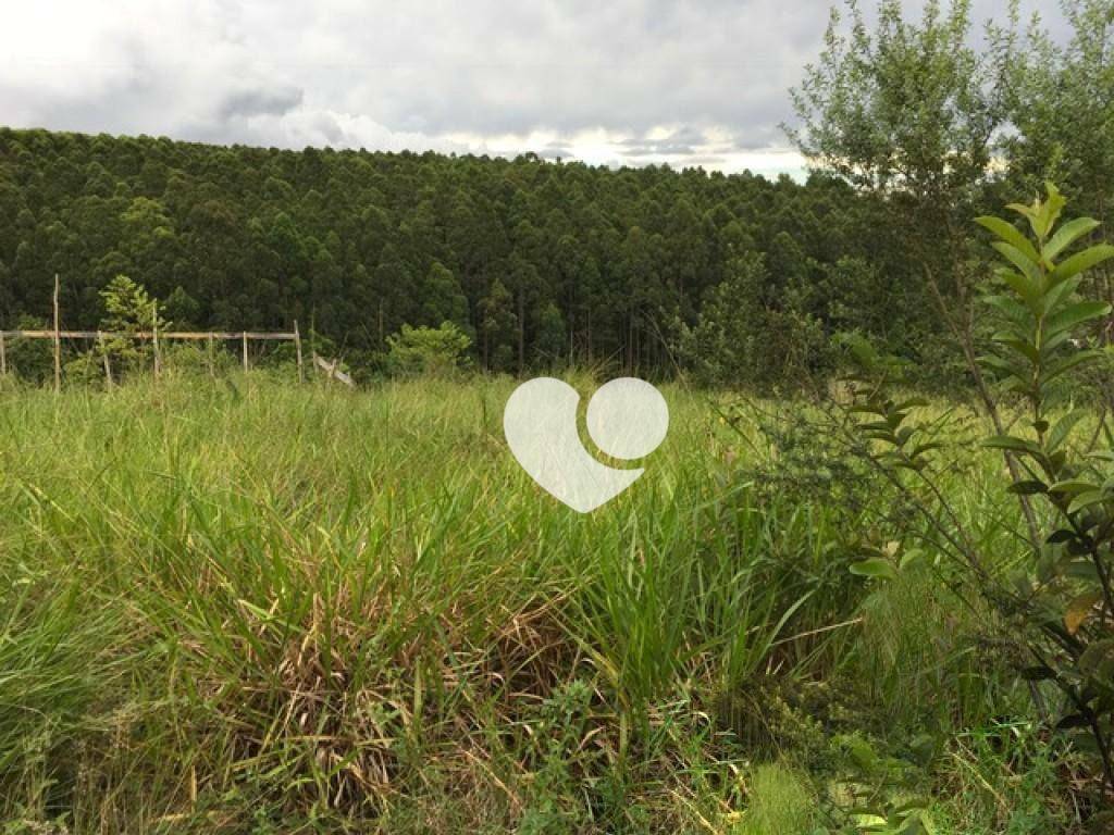 Loteamento e Condomínio à venda, 3200M2 - Foto 4