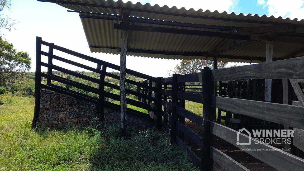 Fazenda à venda com 2 quartos, 4500000M2 - Foto 51