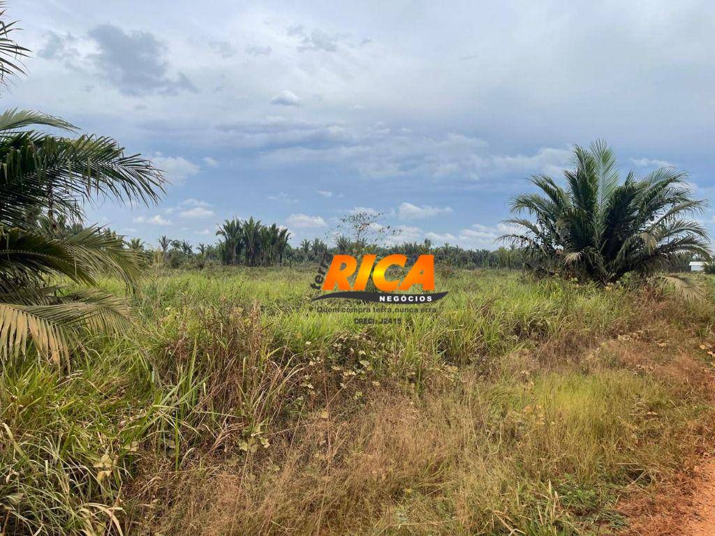 Chácara, 5 hectares - Foto 4