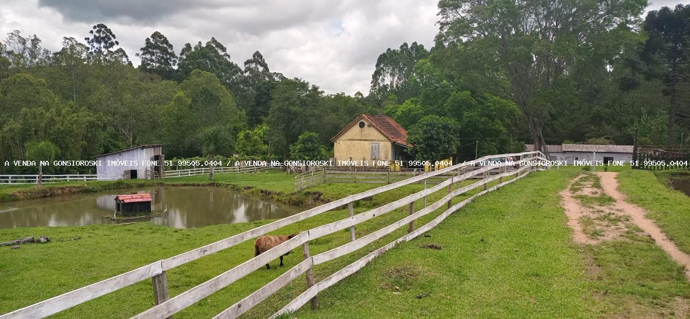 Fazenda à venda com 4 quartos, 130000m² - Foto 29