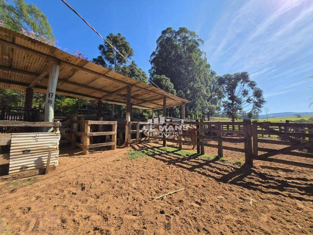 Fazenda à venda com 2 quartos, 400m² - Foto 26