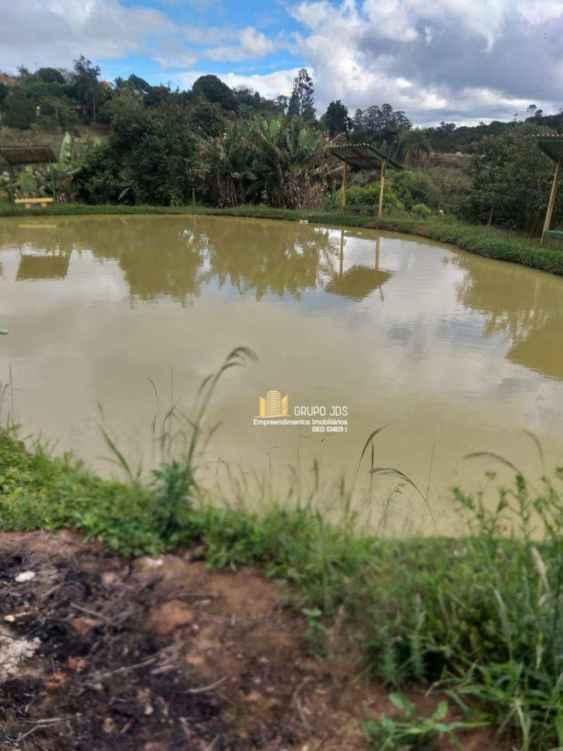 Terreno à venda, 11000M2 - Foto 44