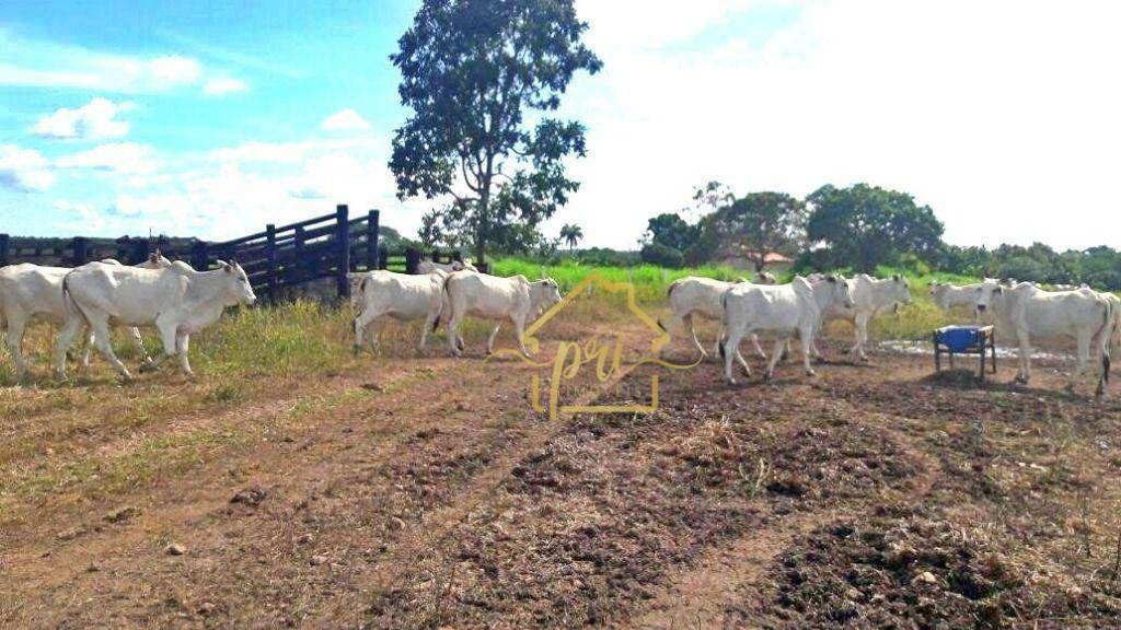 Fazenda à venda com 3 quartos, 250m² - Foto 5