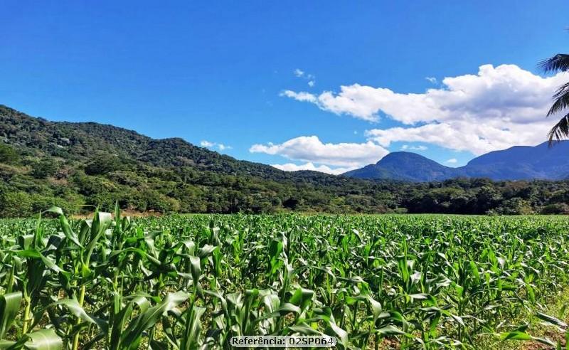 Fazenda à venda com 3 quartos, 160000m² - Foto 19