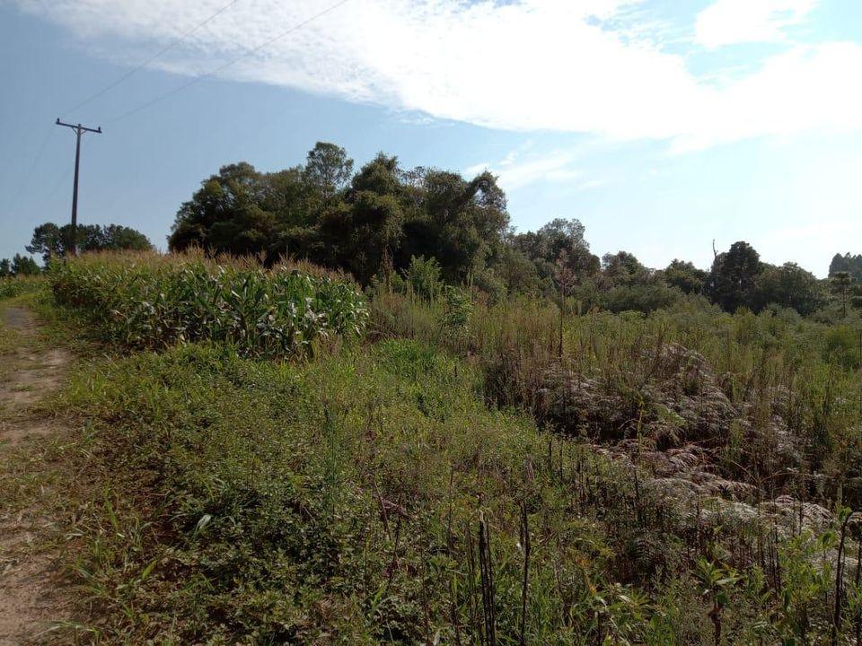 Fazenda à venda com 3 quartos, 130000m² - Foto 21