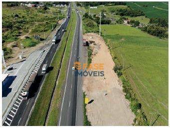 Terreno, 11 hectares - Foto 1