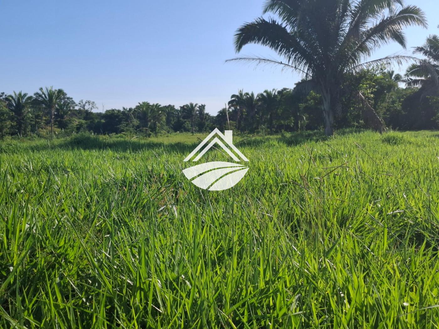 Fazenda-Sítio-Chácara, 1 m² - Foto 18