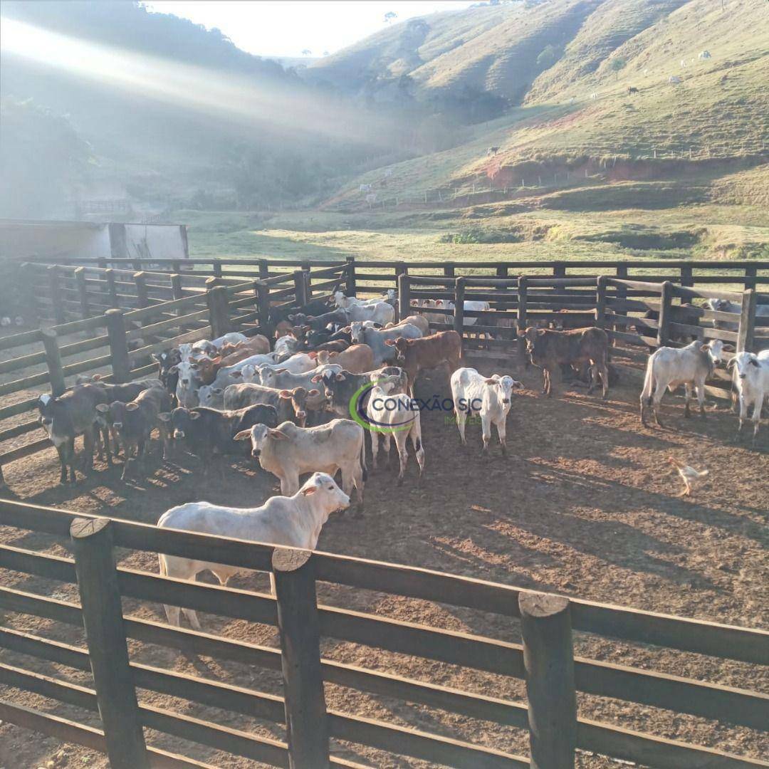 Fazenda à venda, 3388000M2 - Foto 8