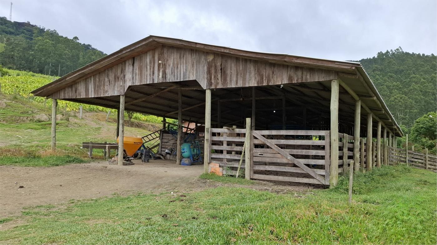 Sítio à venda com 5 quartos, 230000m² - Foto 27