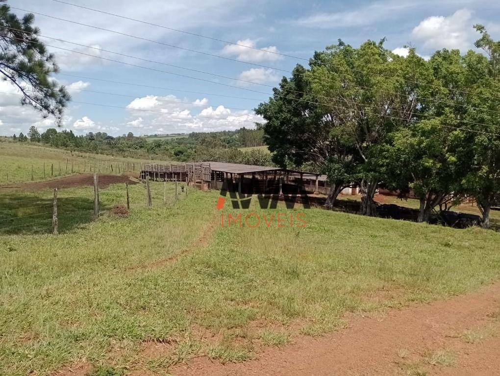 Fazenda à venda com 4 quartos, 820000M2 - Foto 28