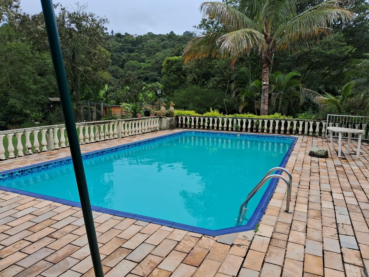Chácara à venda com 4 quartos, 3500m² - Foto 16