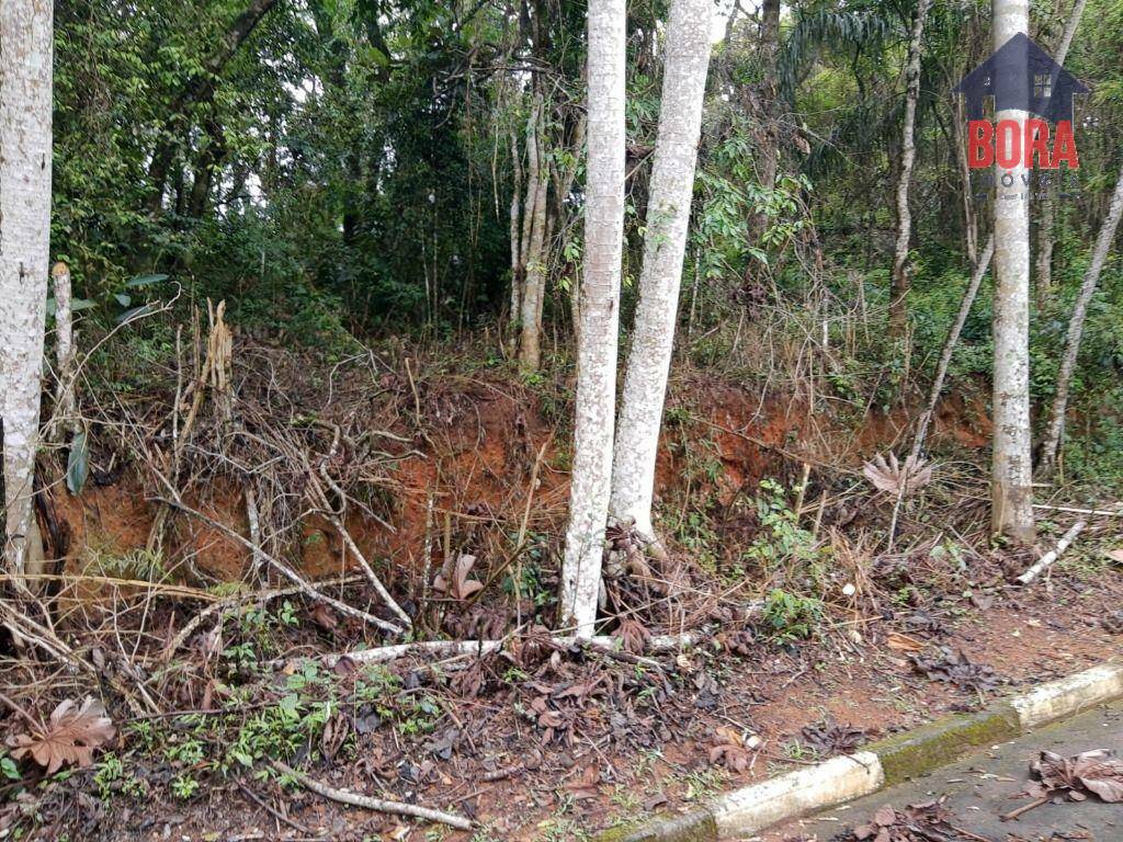 Loteamento e Condomínio à venda, 1250M2 - Foto 3