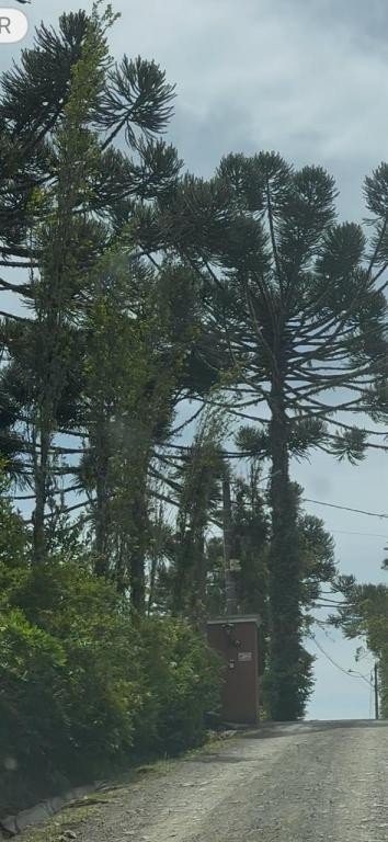 Casa, 2 quartos, 250 m² - Foto 3