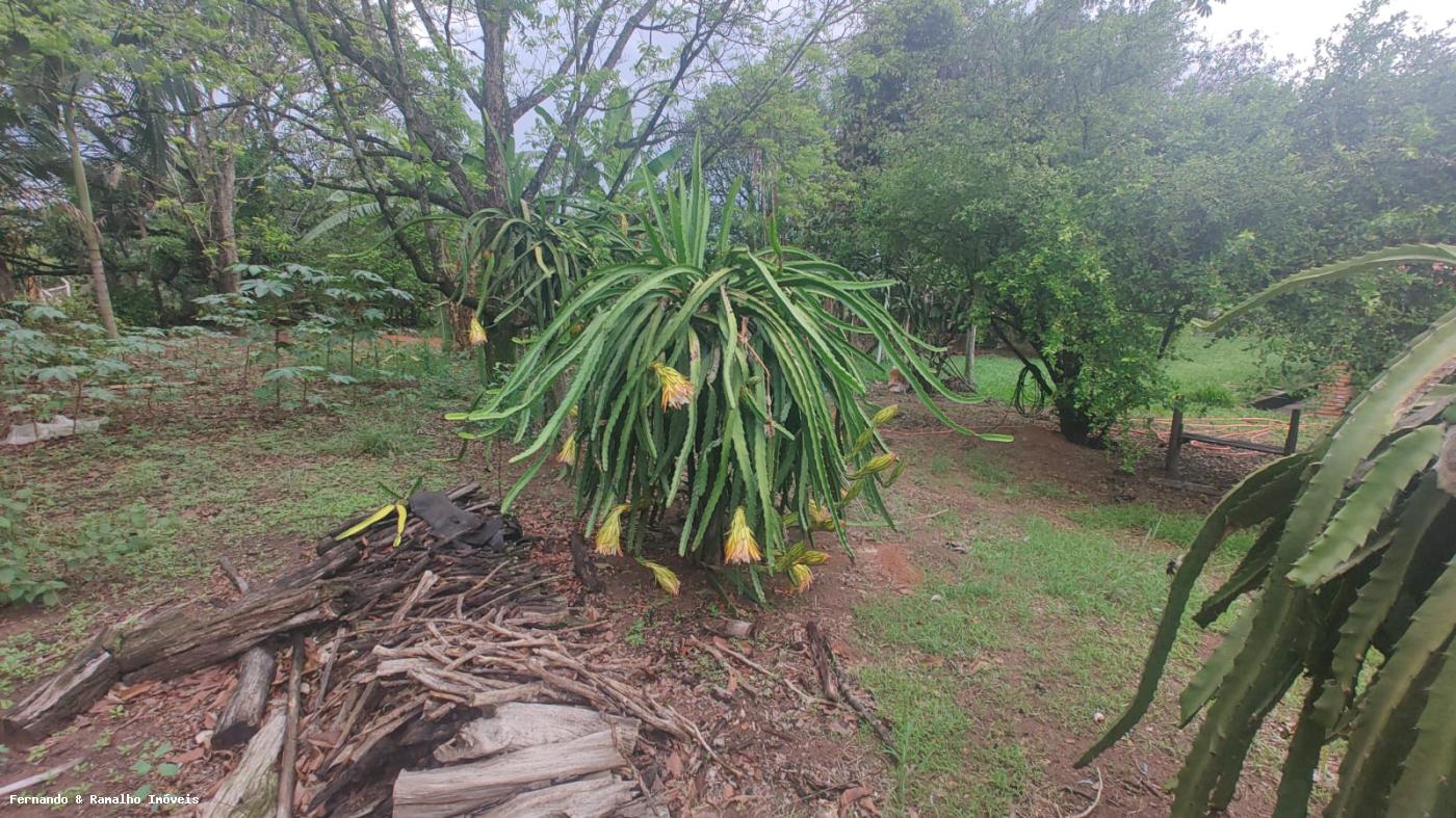 Fazenda para alugar com 2 quartos, 5000m² - Foto 24