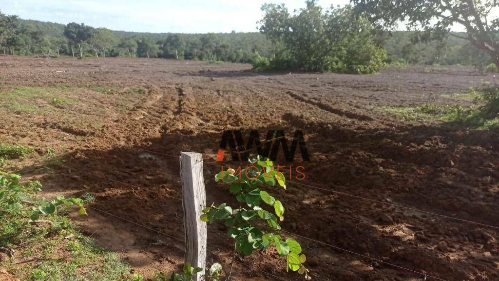 Fazenda à venda, 8760400M2 - Foto 42