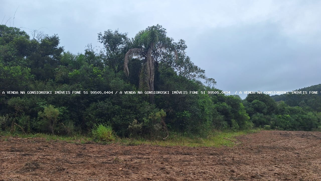 Loteamento e Condomínio à venda, 7250m² - Foto 3