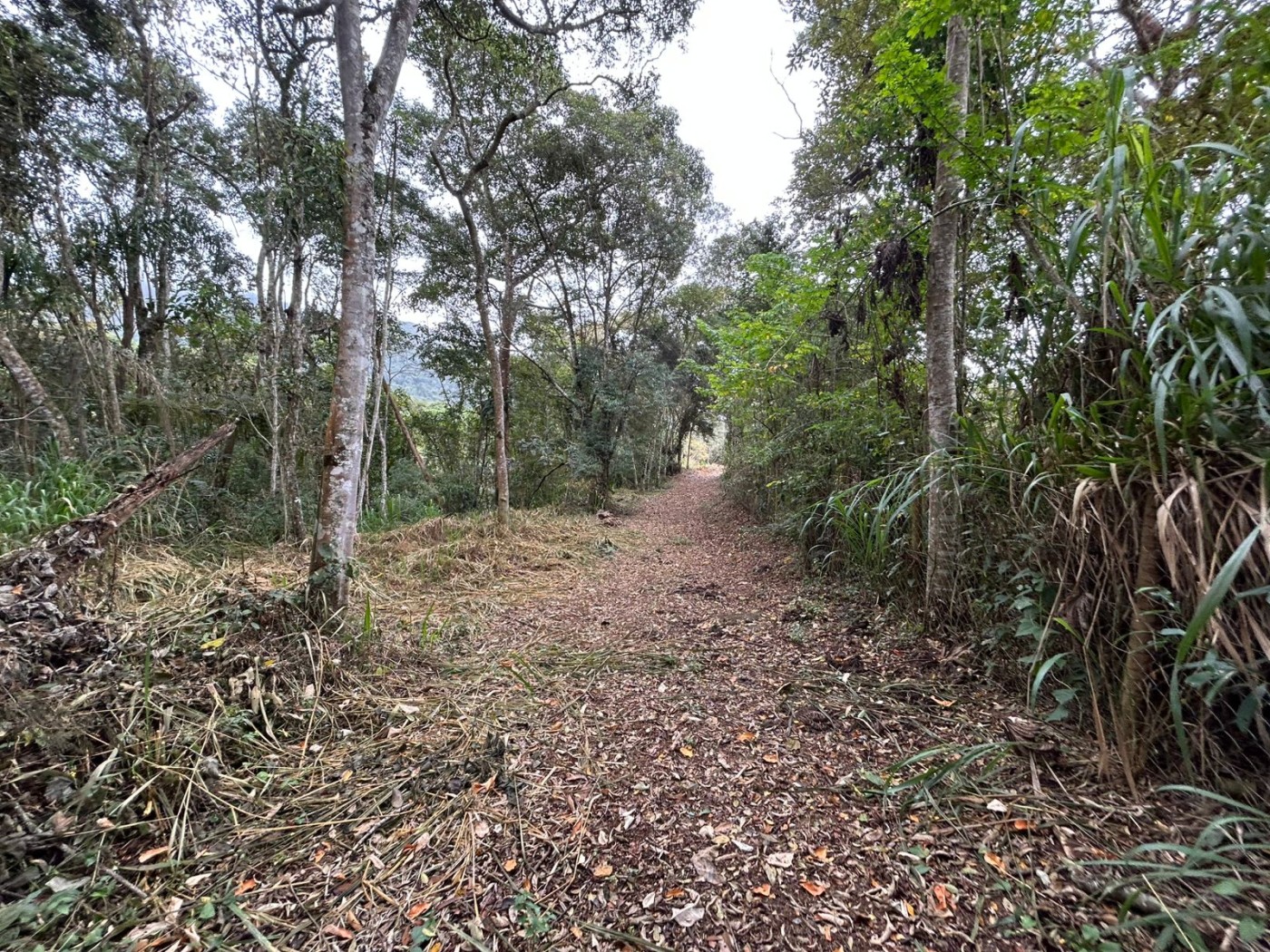 Terreno à venda, 178000m² - Foto 26
