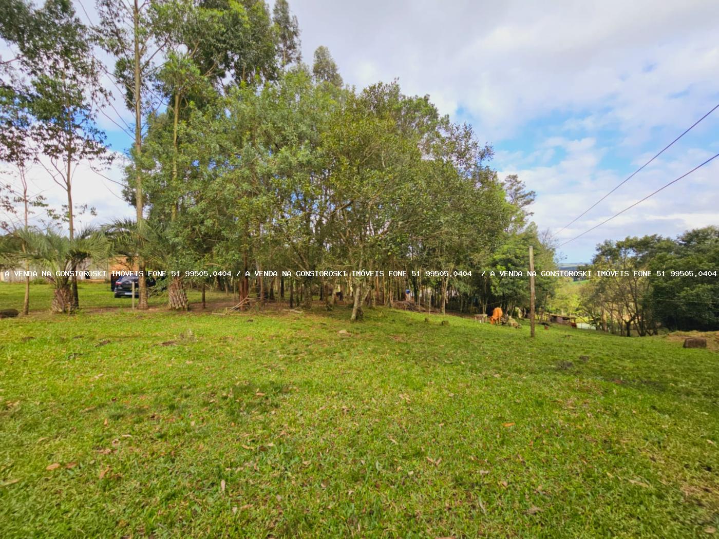 Sítio à venda, 30000m² - Foto 25